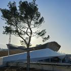Arbre